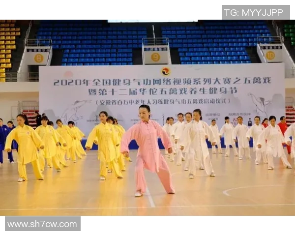 杨娜独家揭秘羽毛球技巧与心得分享助你提升竞技水平