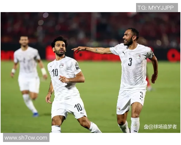 埃及与南非足球对决比分预测分析及赛前展望