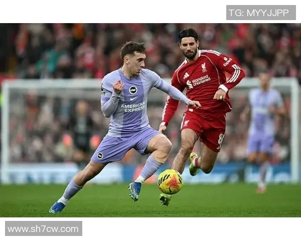 探索索博斯洛伊的历史与文化魅力，揭示其在现代社会中的重要意义