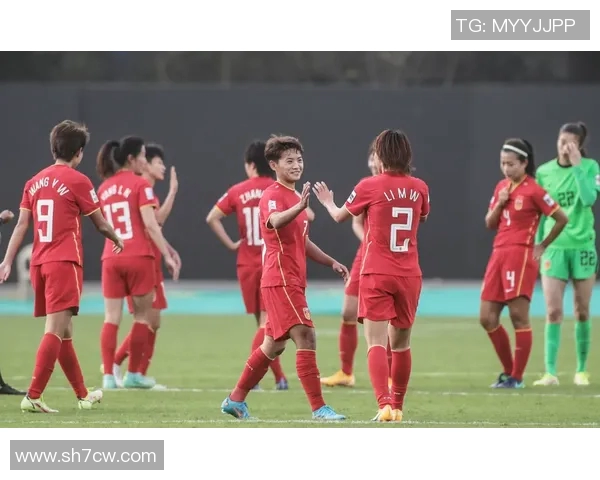 法国女足对决尼日尔女足精彩赛事分析与战术解析