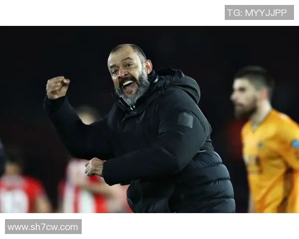 若昂内维斯的足球之路：从青训新星到职业联赛的璀璨之星