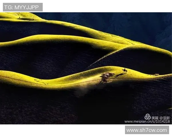 阿瓦依与弗拉门戈的巅峰对决谁能在这场较量中笑到最后