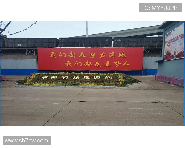 刘铮：从篮球场上的拼搏者到人生道路上的追梦人